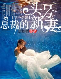 第一名媛总裁的头号新妻讲的什么